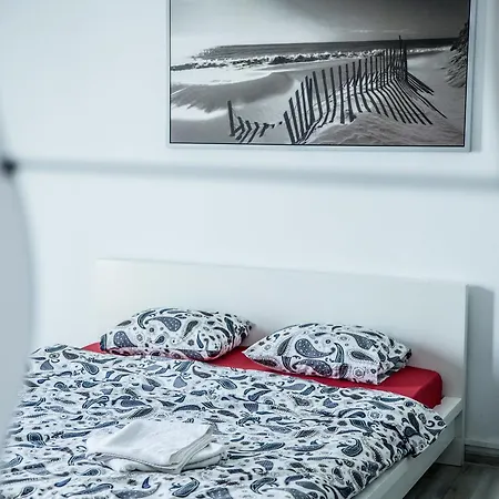 Aliseo Studio *